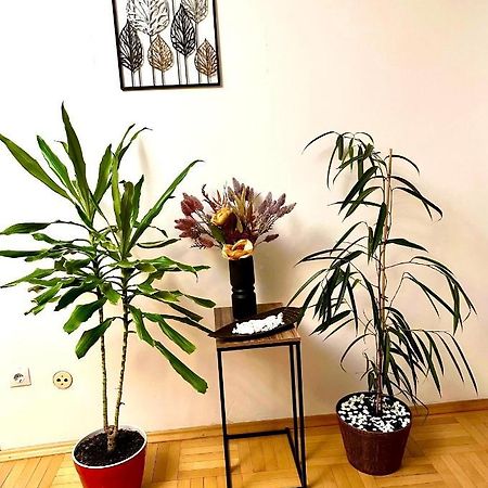 Vintage Bucharest Apartment 外观 照片