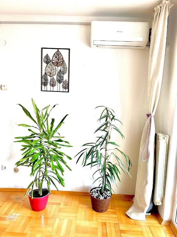 Vintage Bucharest Apartment 外观 照片