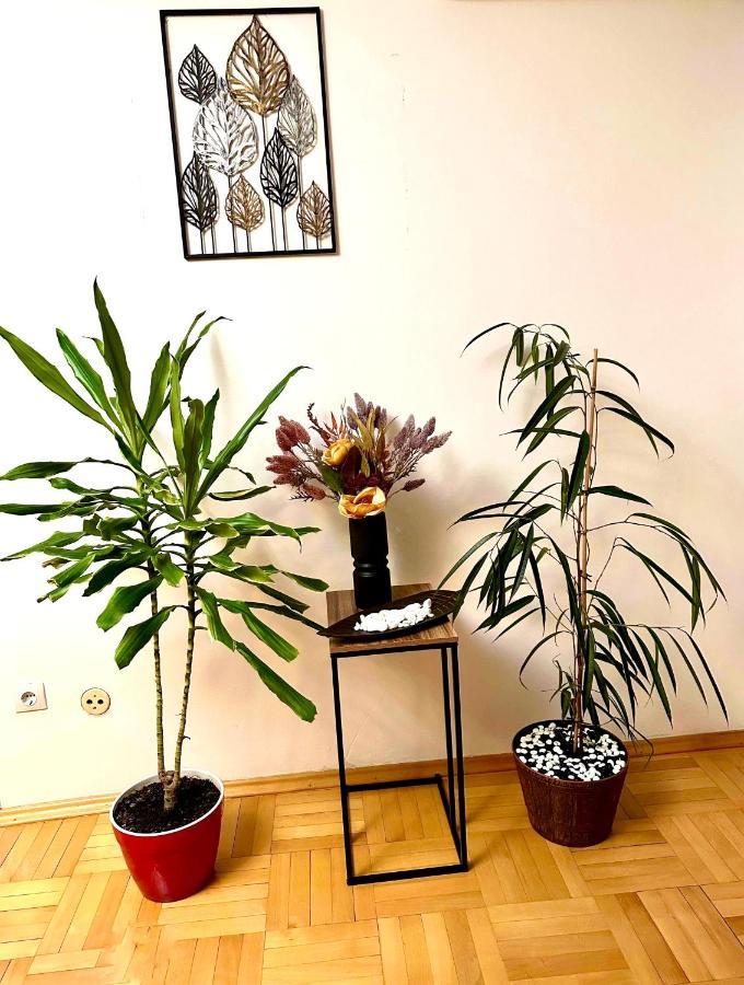 Vintage Bucharest Apartment 外观 照片